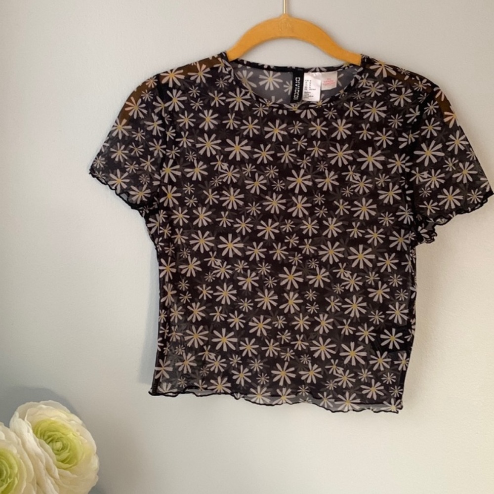 Divided Sheer Crop Top